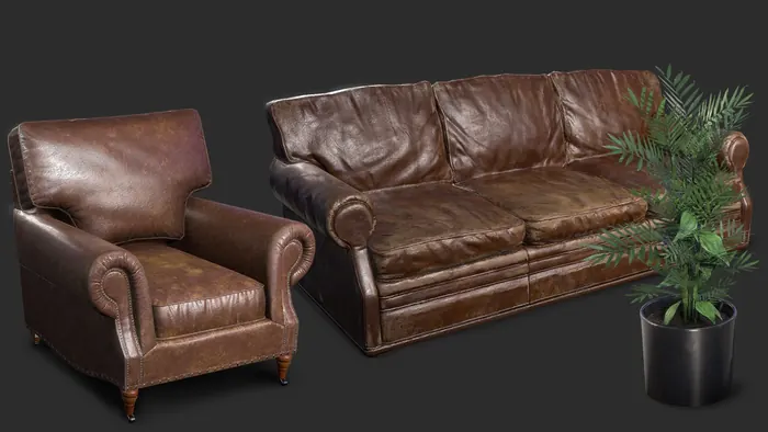 Worn leather armchair and sofa props with potted plant